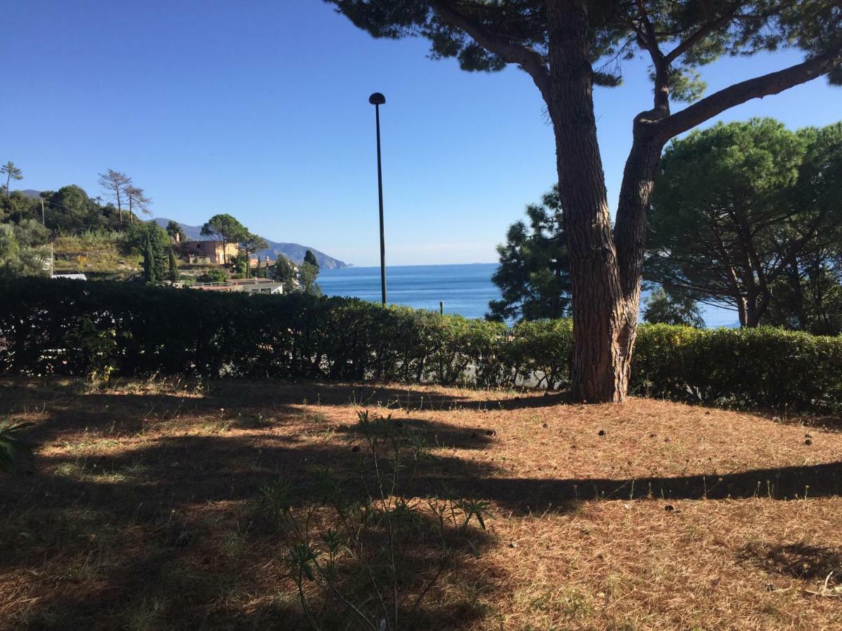 Il Nido Della Gazza Apartamento Monterosso al Mare Exterior foto